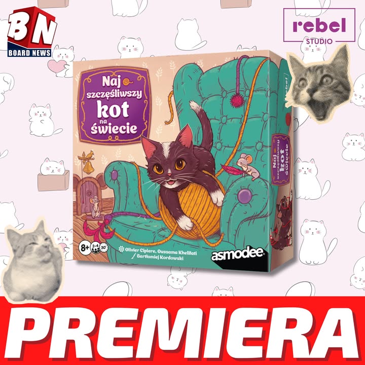 Rebel Studio – Najszczęśliwszy kot na świecie