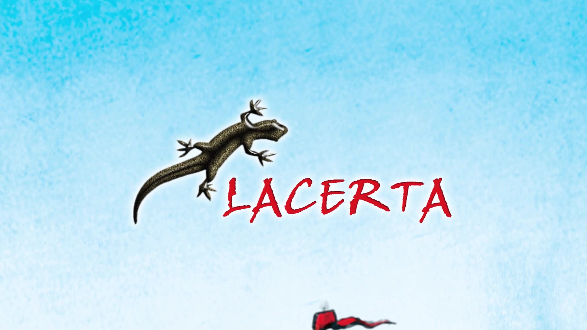 ‼️NEWS‼ (2019-08-21 10:10:22)