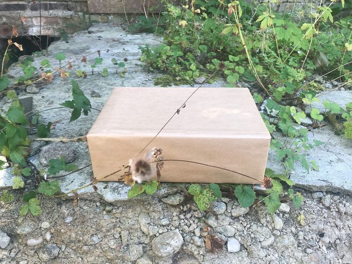 ‼️NEWS‼ (2019-08-27 11:46:05)