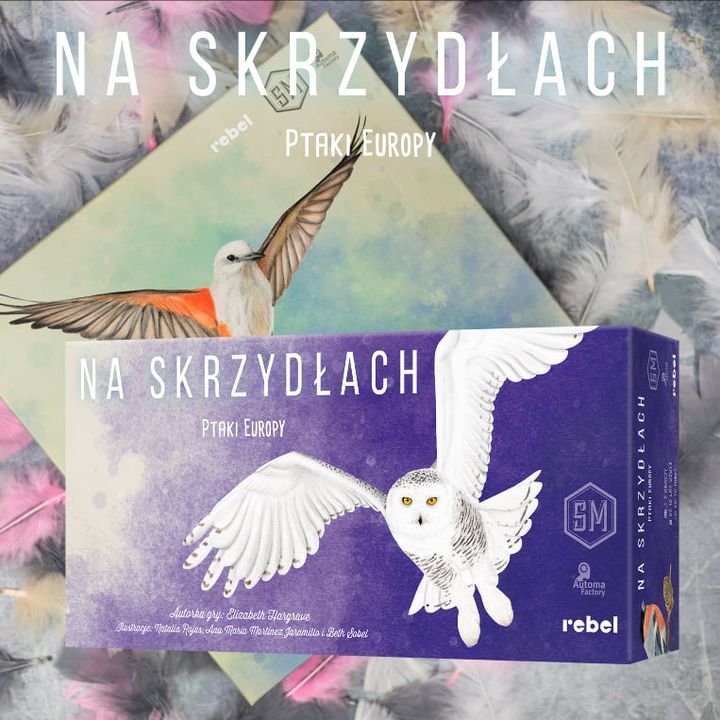 ‼️HOT NEWS‼ (2019-10-02 16:09:17)